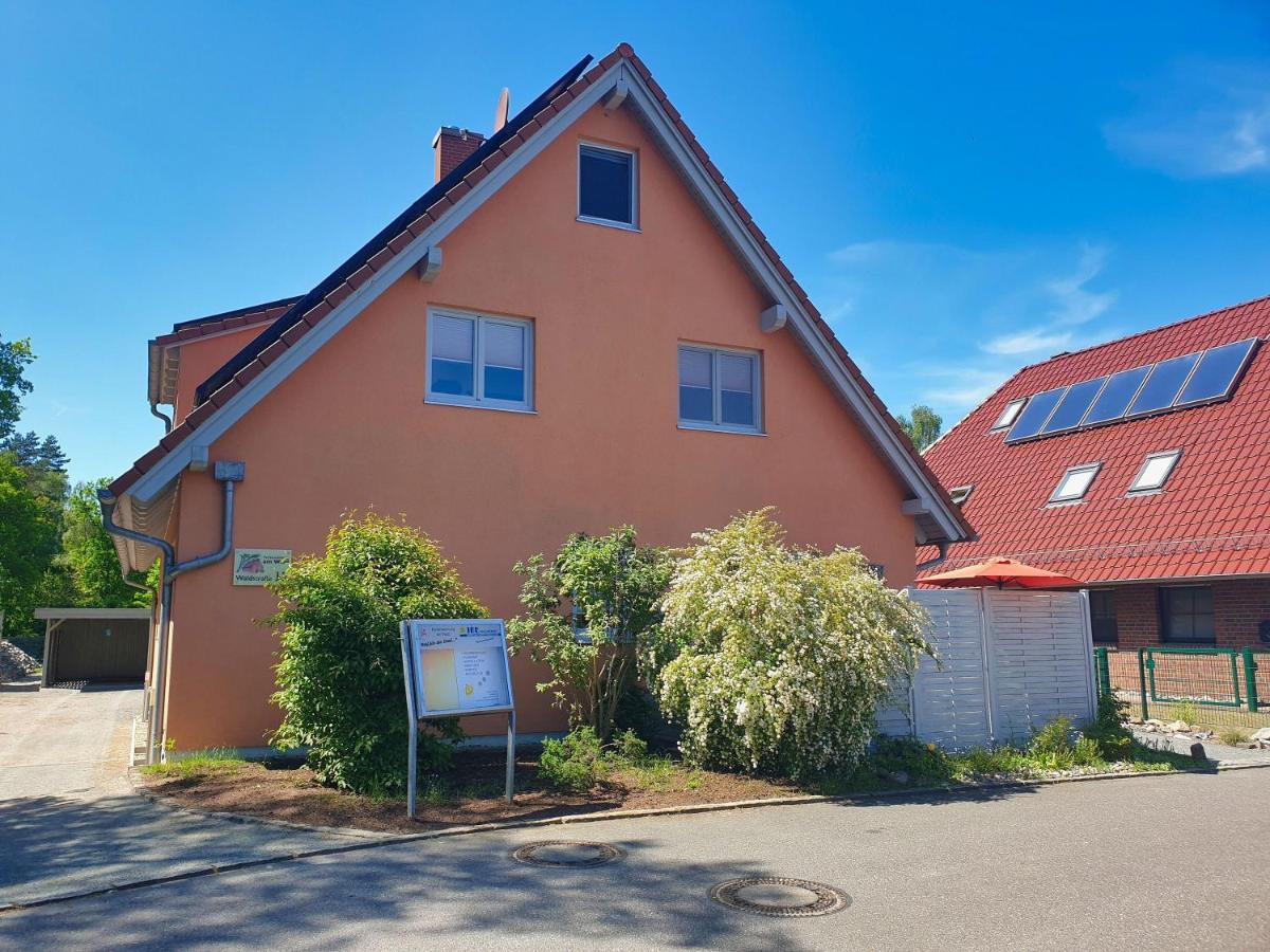 Moderne Fewo Nr 4 Mit Balkon, Sauna Im Haus, Garten - Ferienwohnungen Am Wald Klein Gelm 外观 照片